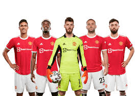 开云官方体育平台 - 登录入口直达